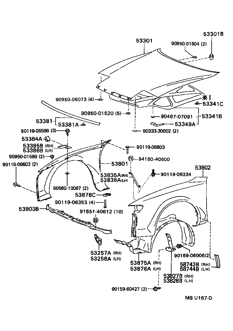 Hood & Front Fender