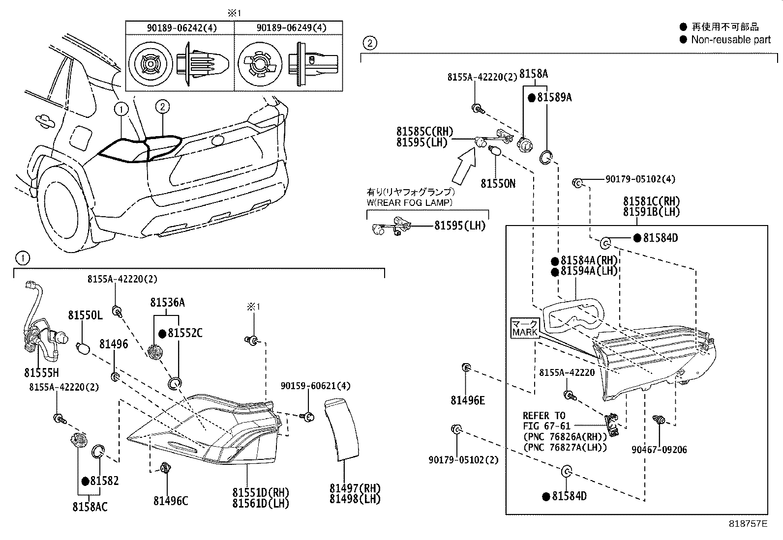 Rear Combination Lamp