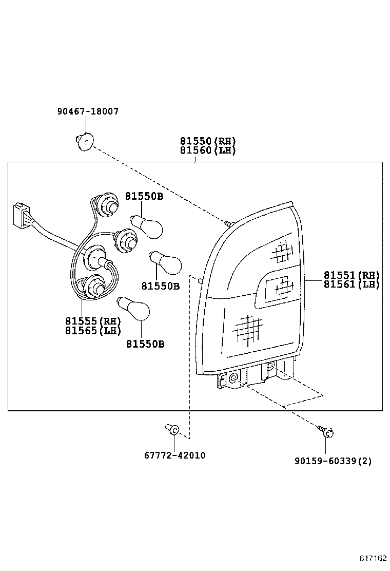 Rear Combination Lamp