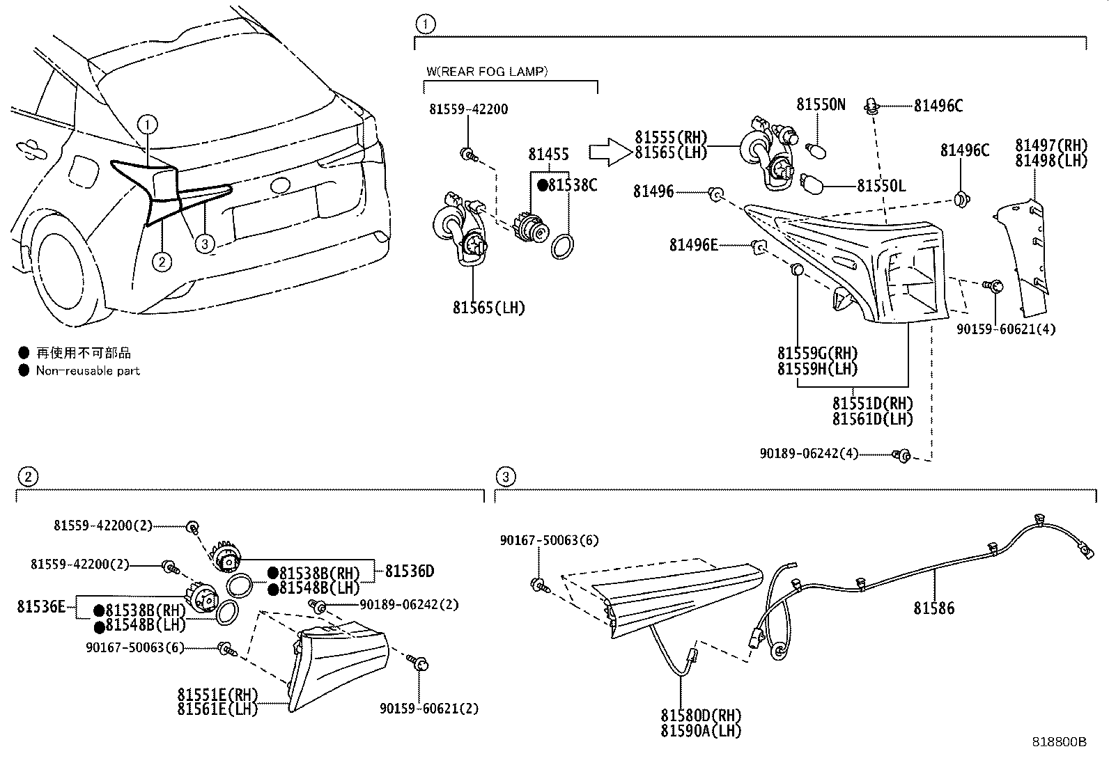 Rear Combination Lamp