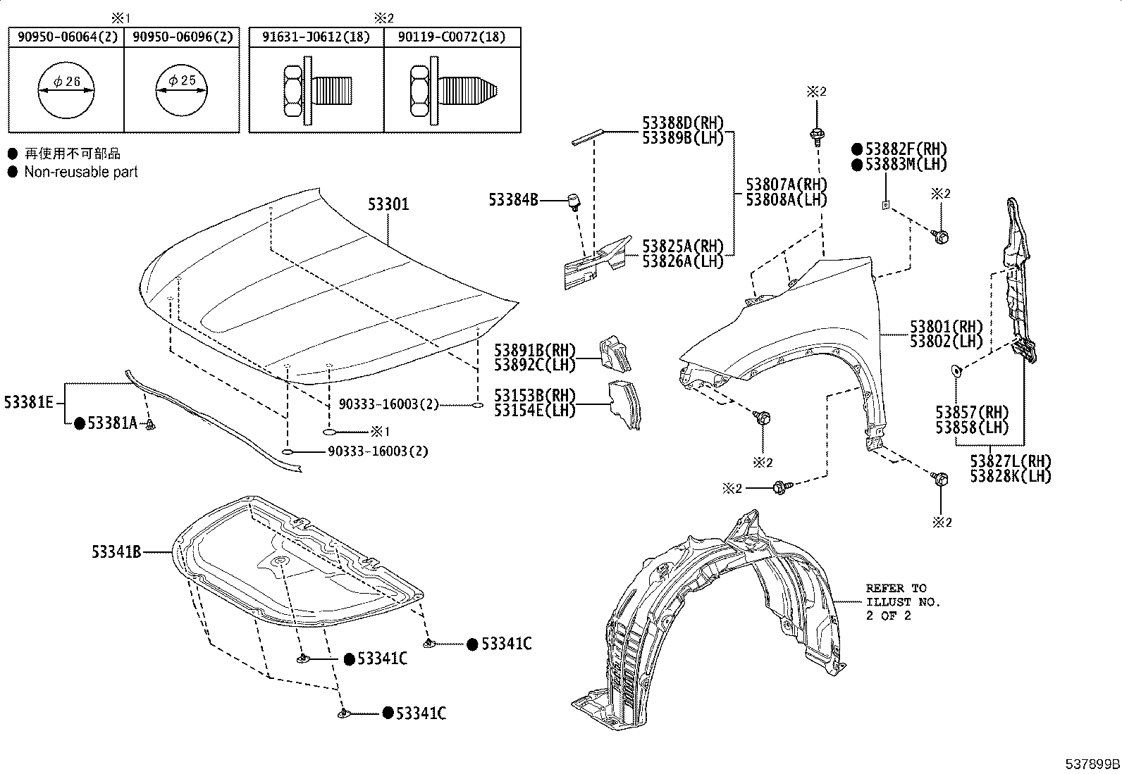 Capó y guardabarros delantero