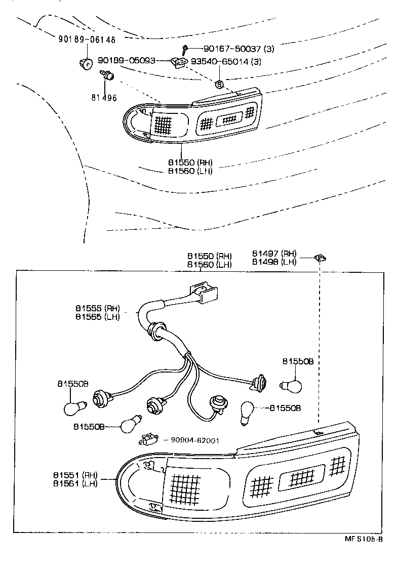 Rear Combination Lamp