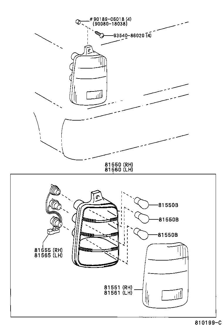 Rear Combination Lamp