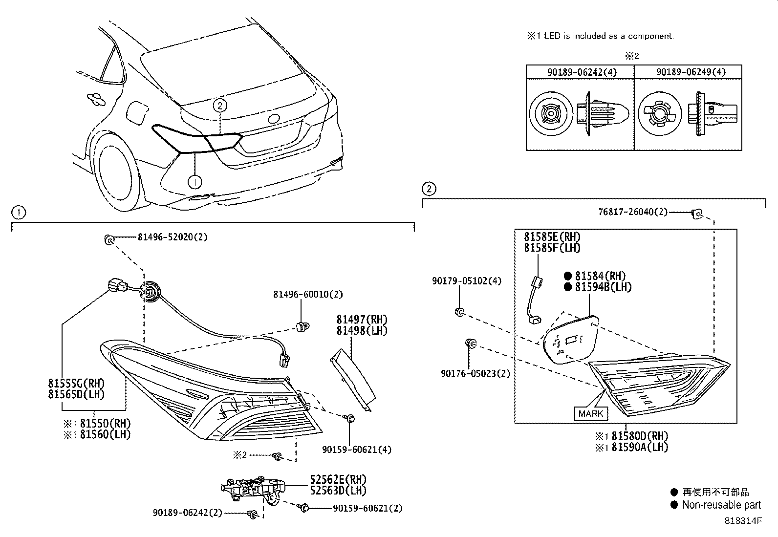 Rear Combination Lamp