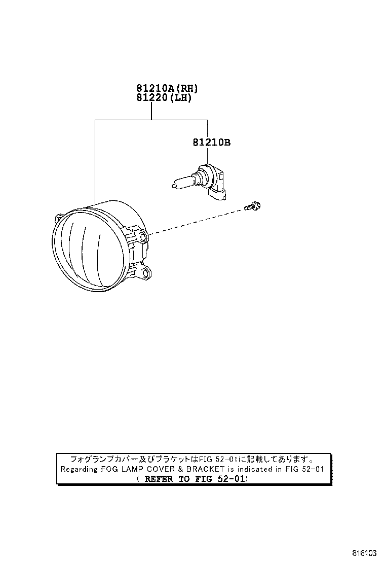 Fog Lamp