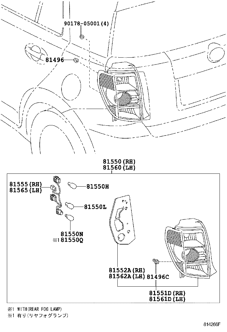 Rear Combination Lamp