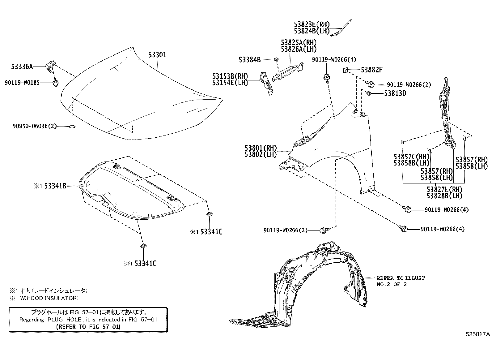 Hood & Front Fender