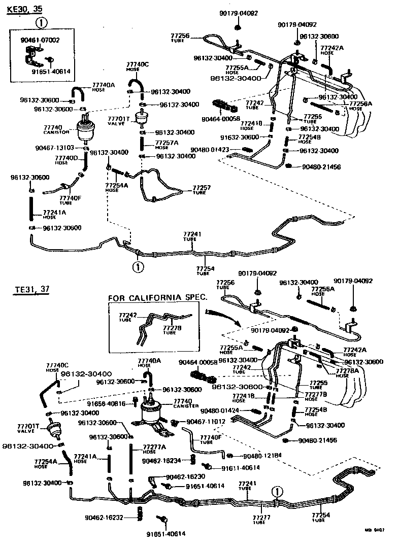 Fuel Tank & Tube