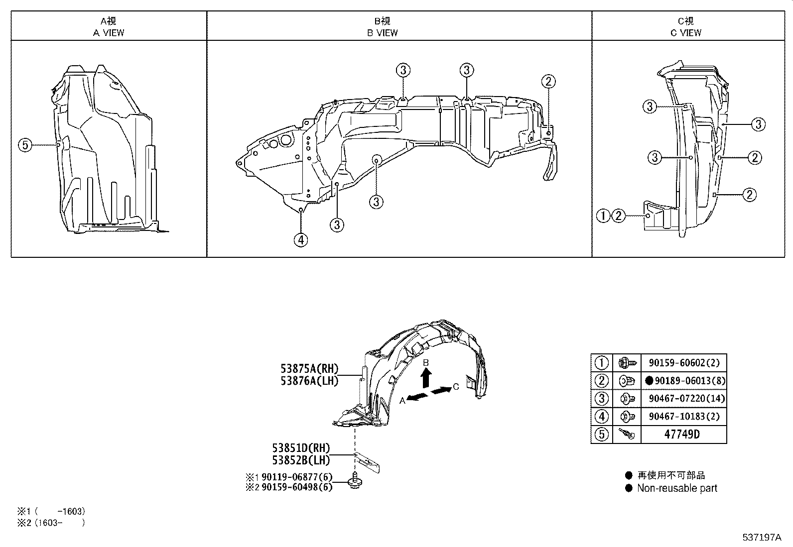 Hood & Front Fender