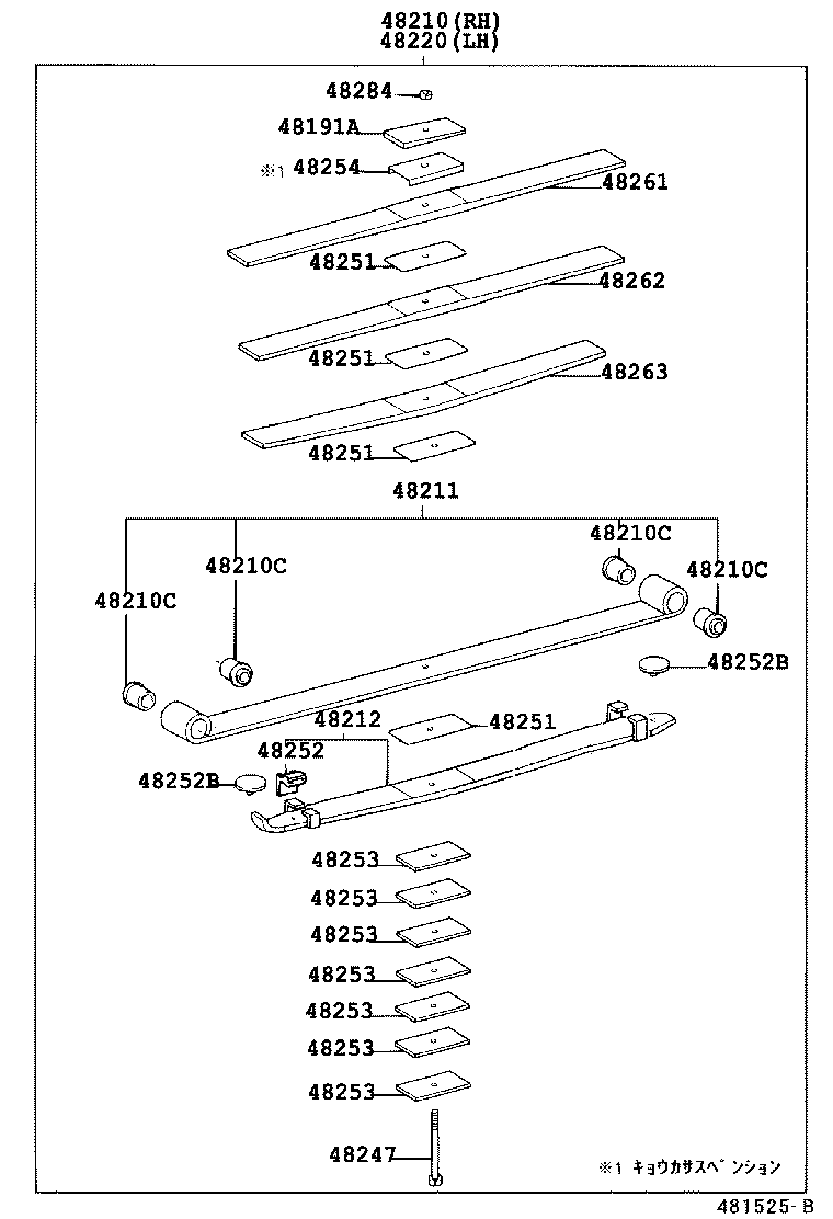 Rear Spring & Shock Absorber