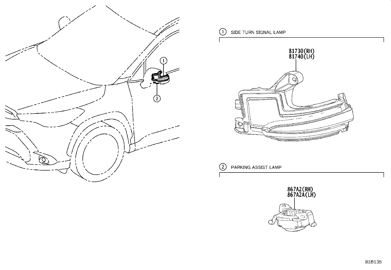 Turn Signal Lamp & Outer Mirror Lamp