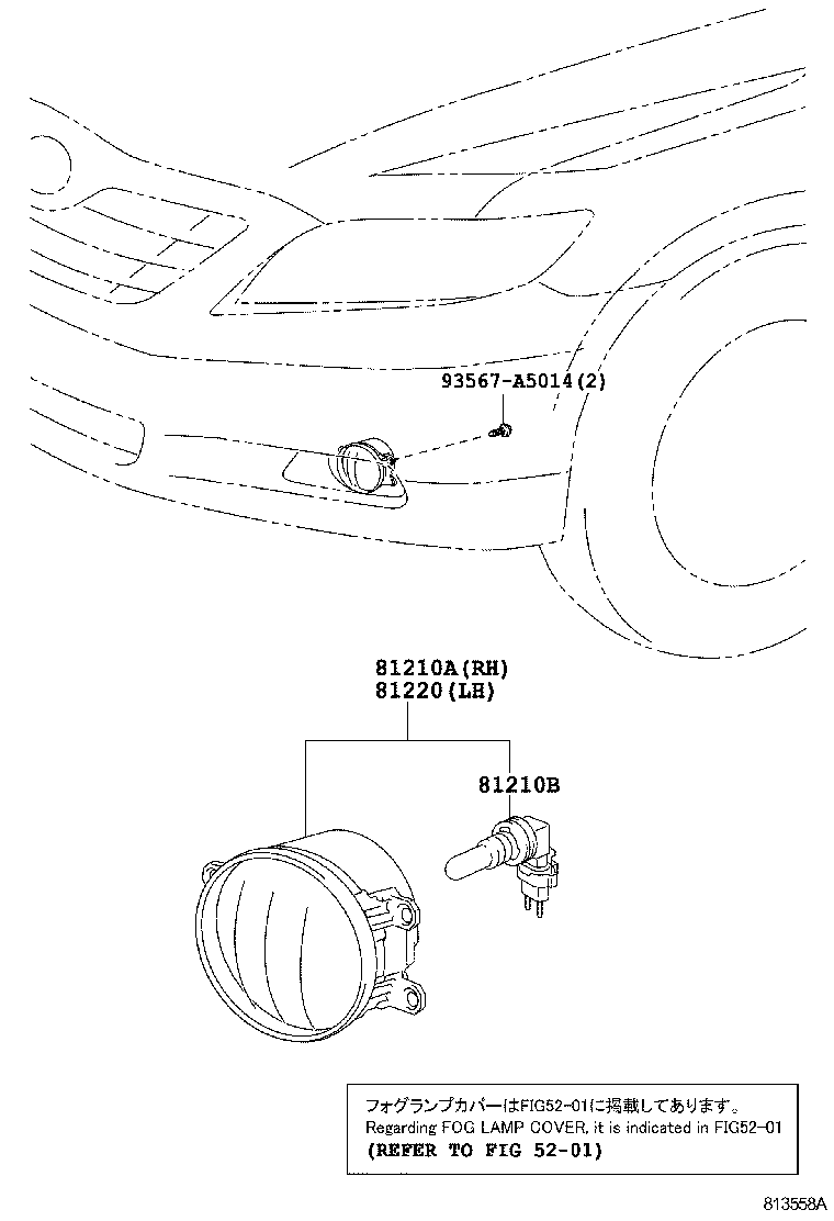 Fog Lamp