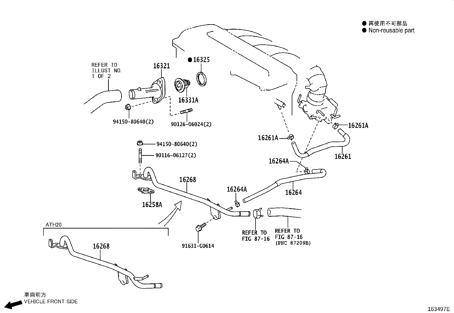 Radiator Water Outlet