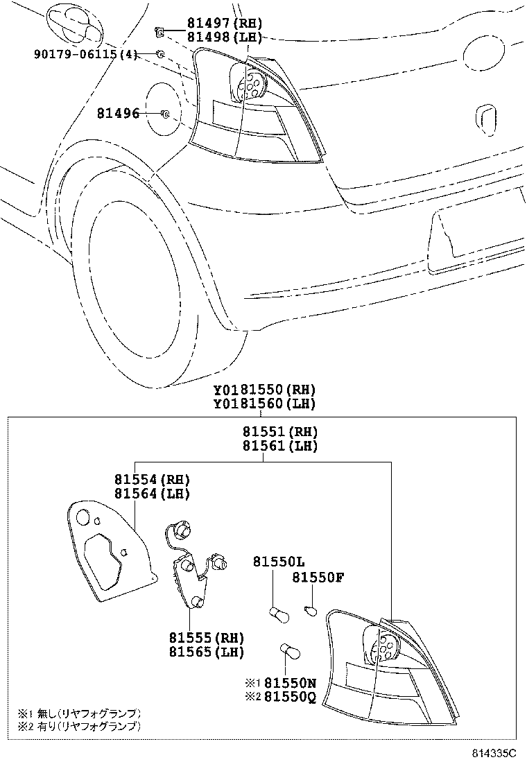 Rear Combination Lamp