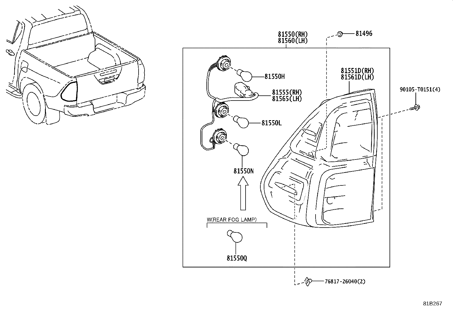 Rear Combination Lamp