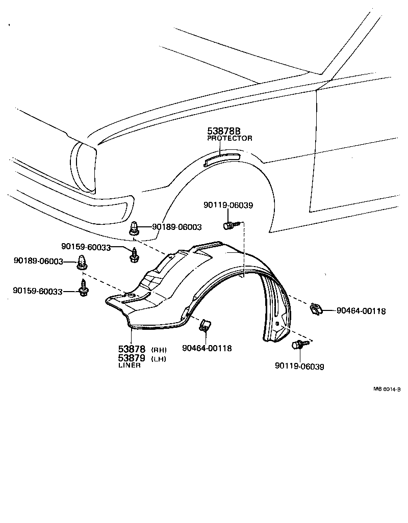 Hood & Front Fender