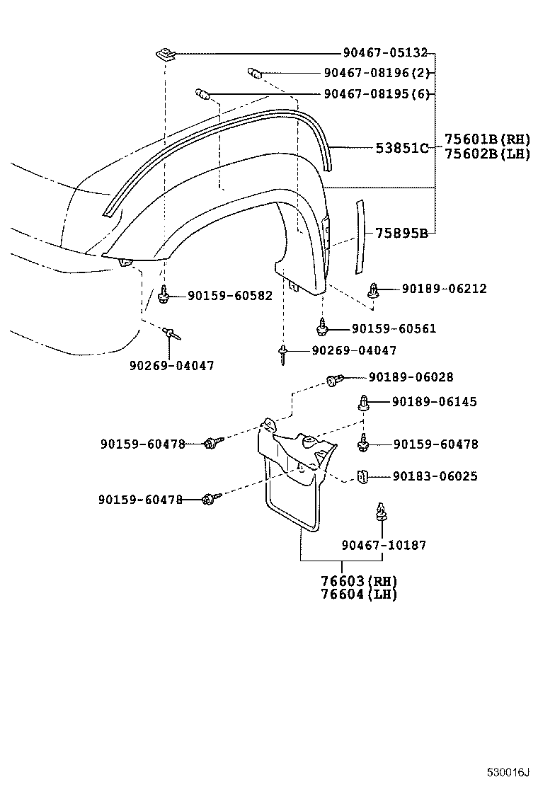 Hood & Front Fender