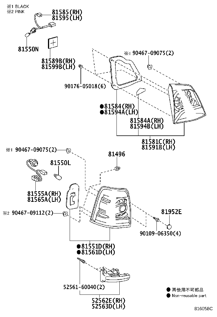 Rear Combination Lamp