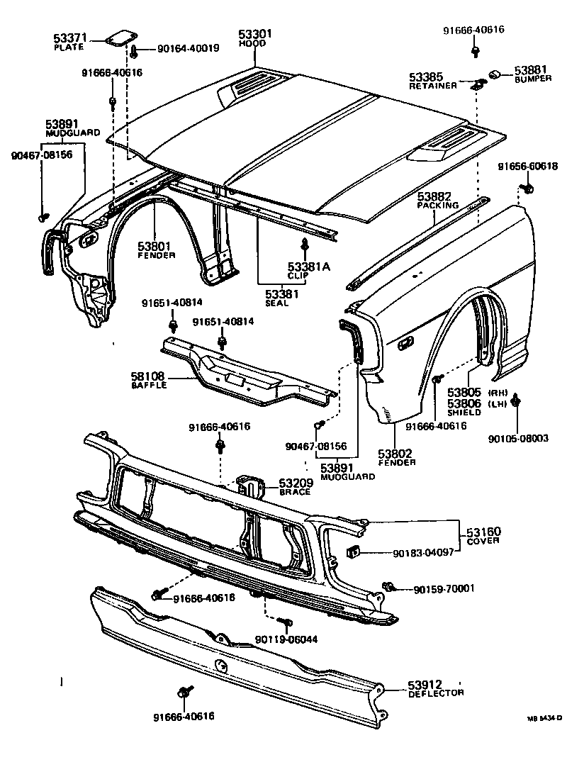 Hood & Front Fender