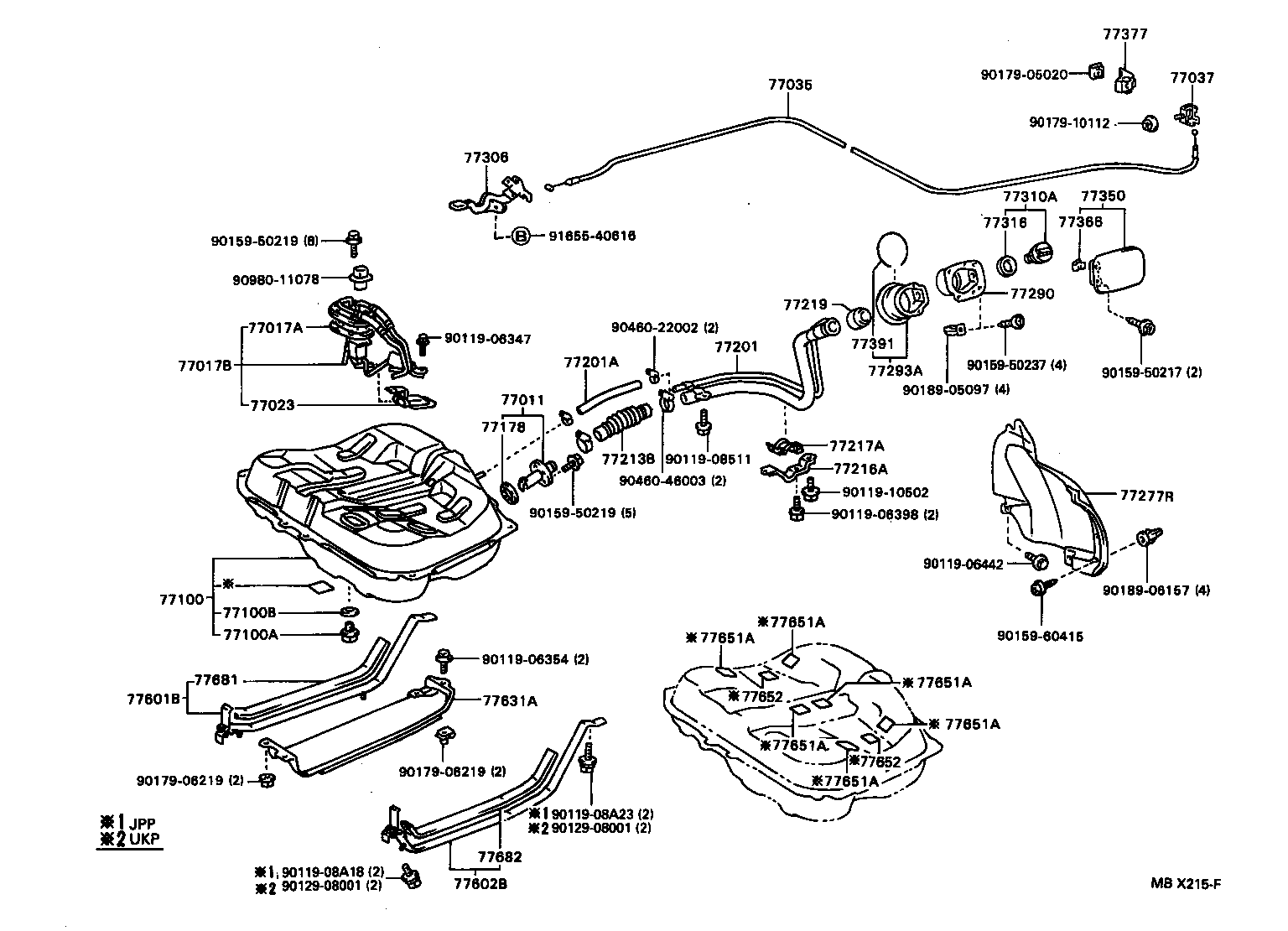 Fuel Tank & Tube