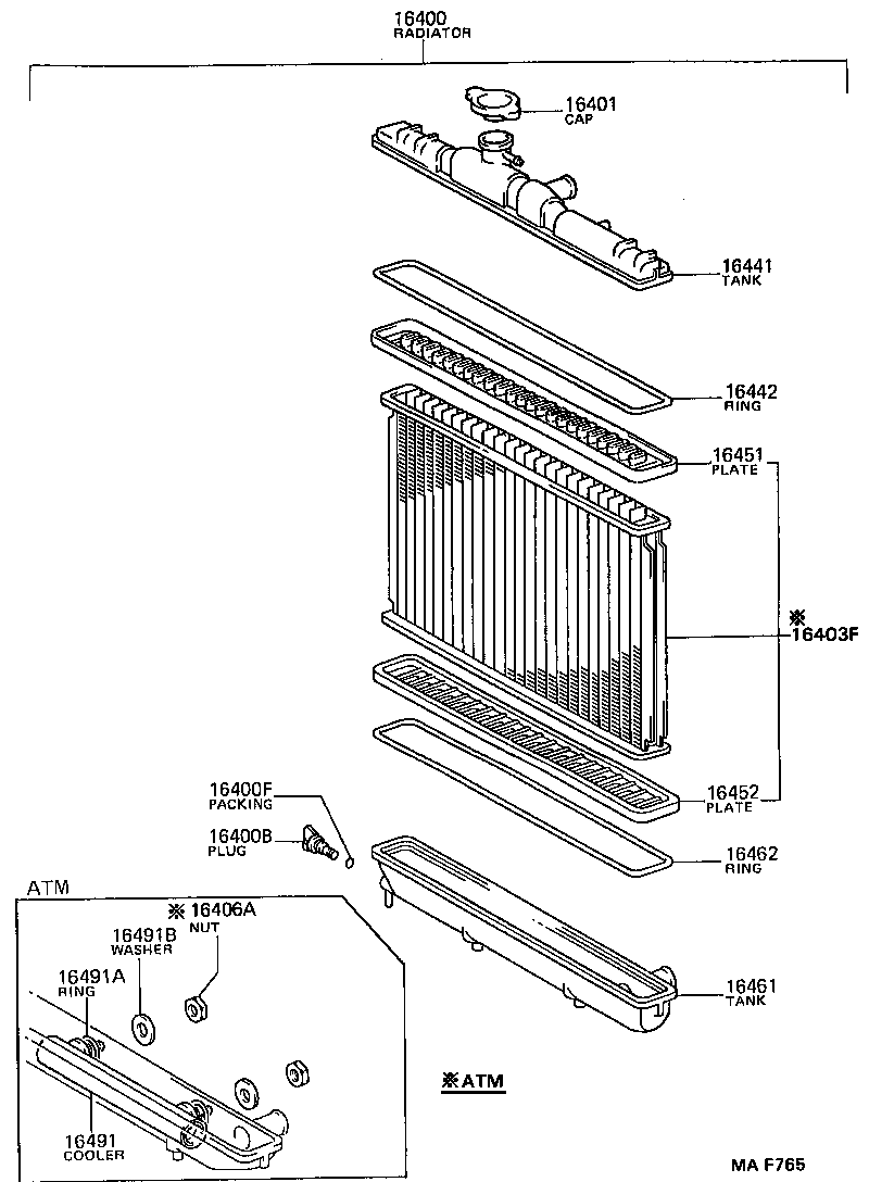 Radiator Water Outlet