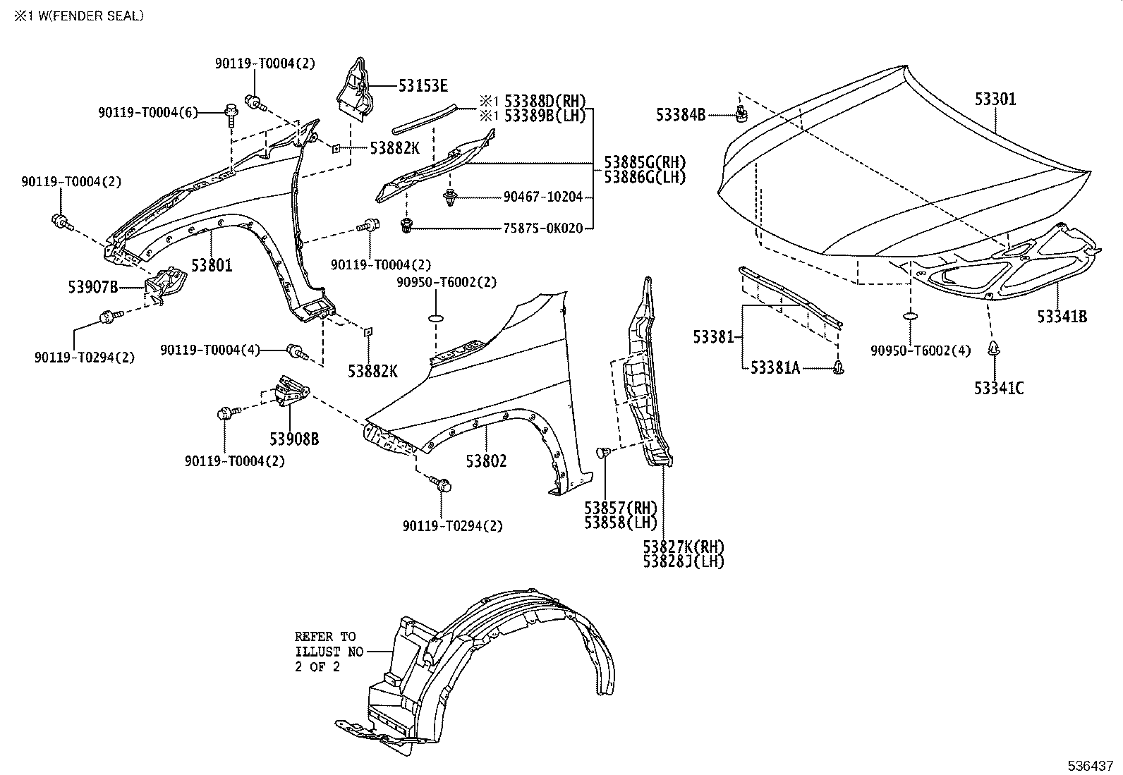 Hood & Front Fender