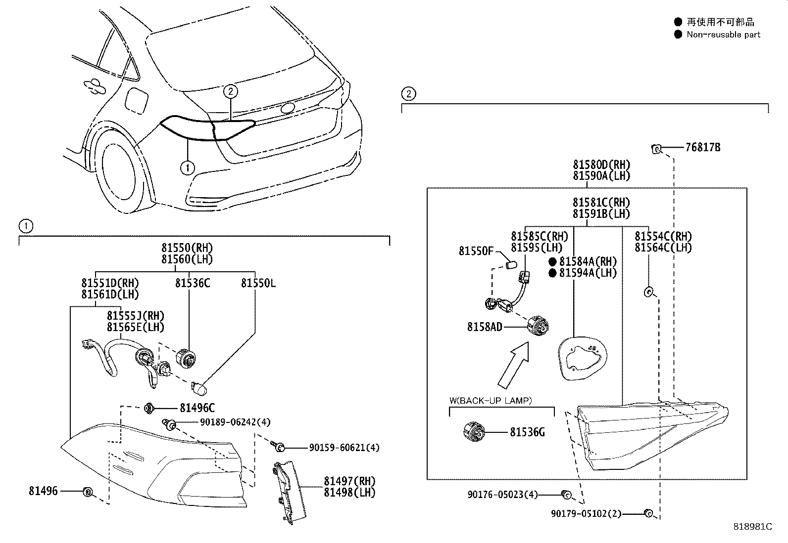 Rear Combination Lamp