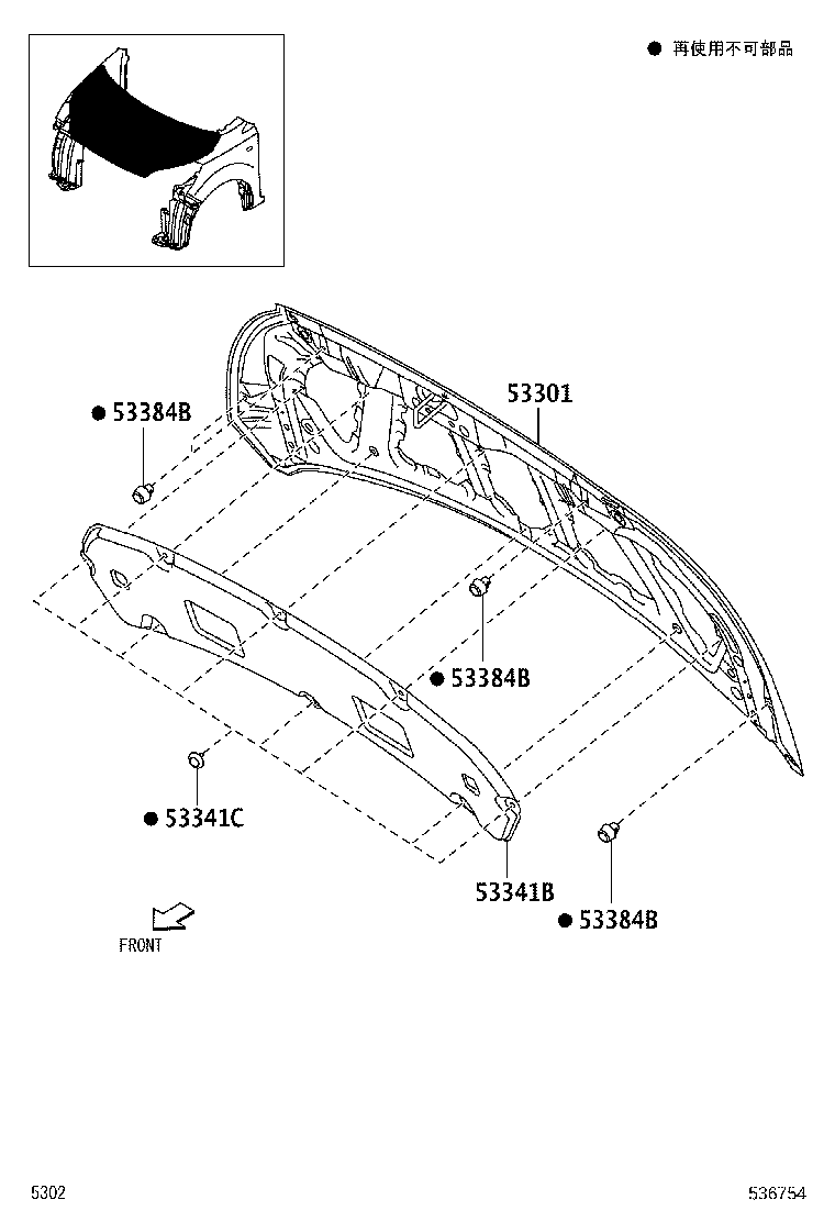 Hood & Front Fender