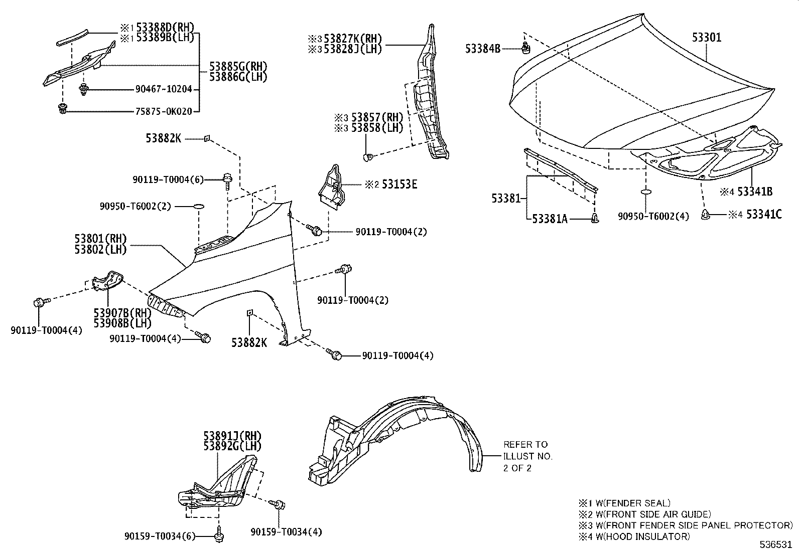 Hood & Front Fender