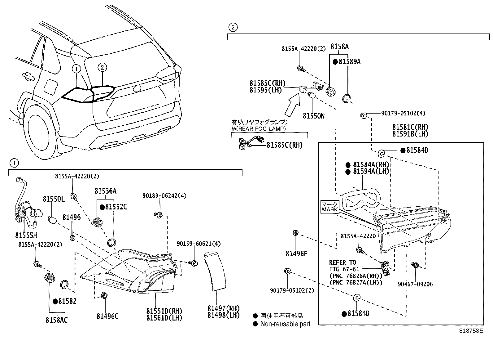 Rear Combination Lamp