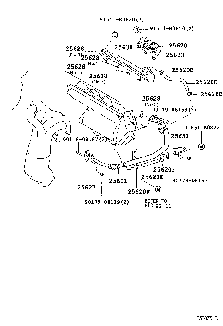 Exhaust Gas Recirculation System