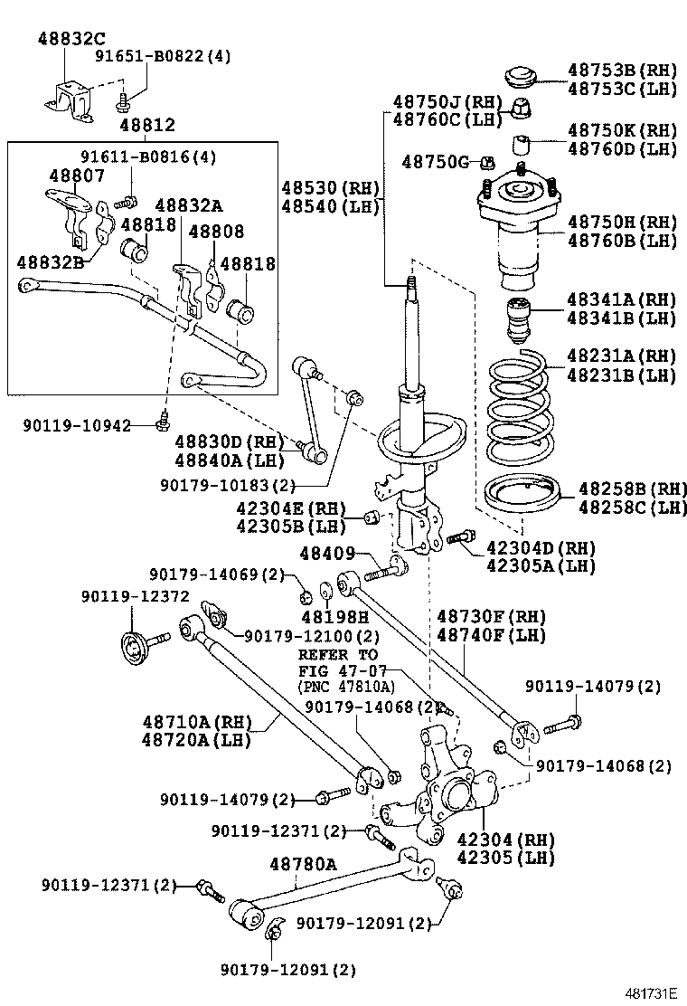 Rear Spring & Shock Absorber