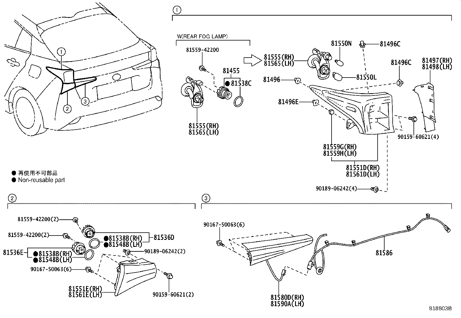 Rear Combination Lamp