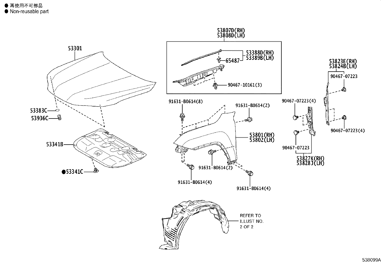 Capó y guardabarros delantero