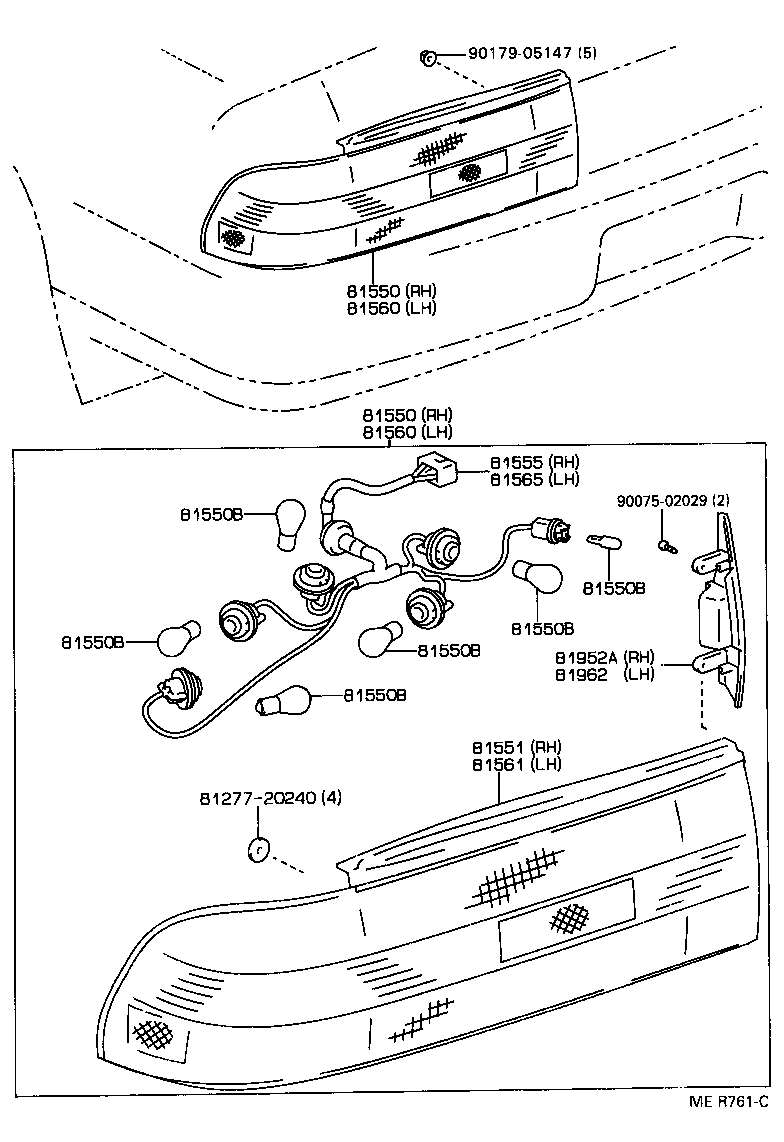 Rear Combination Lamp