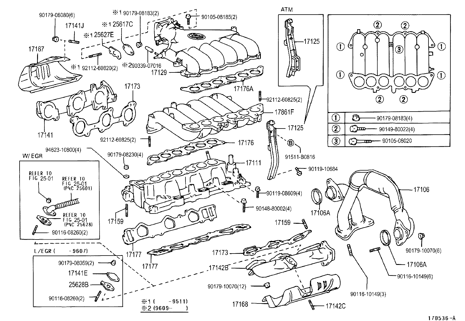 Manifold