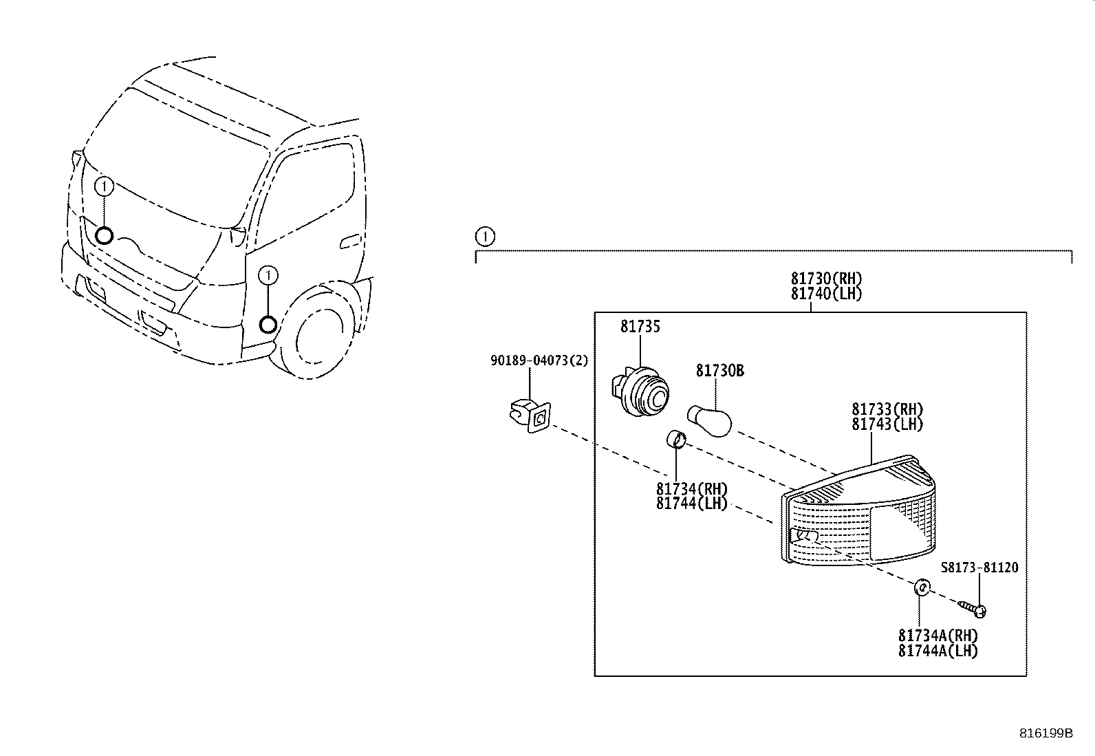 Turn Signal Lamp & Outer Mirror Lamp