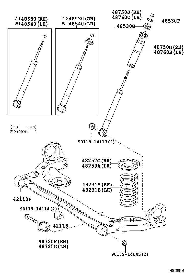 48231-44240 Spring, Coil, Rear Rh Toyota | YoshiParts