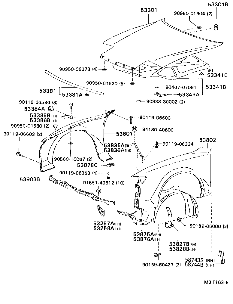 Hood & Front Fender