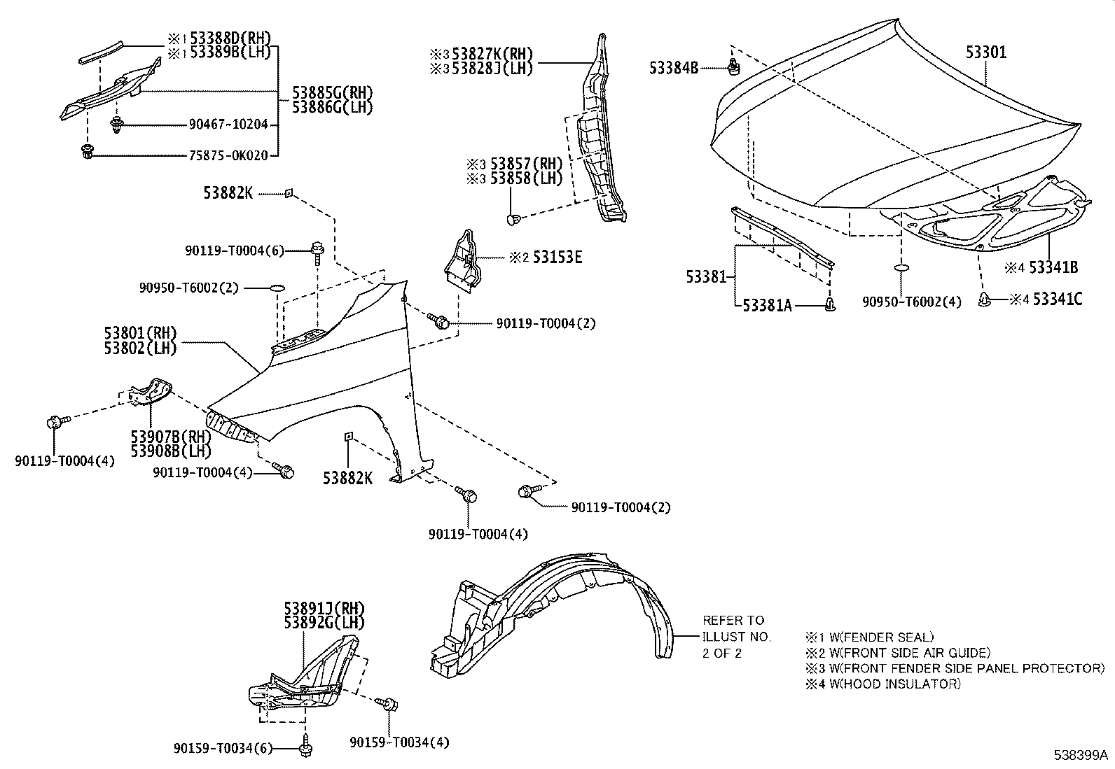 Hood & Front Fender