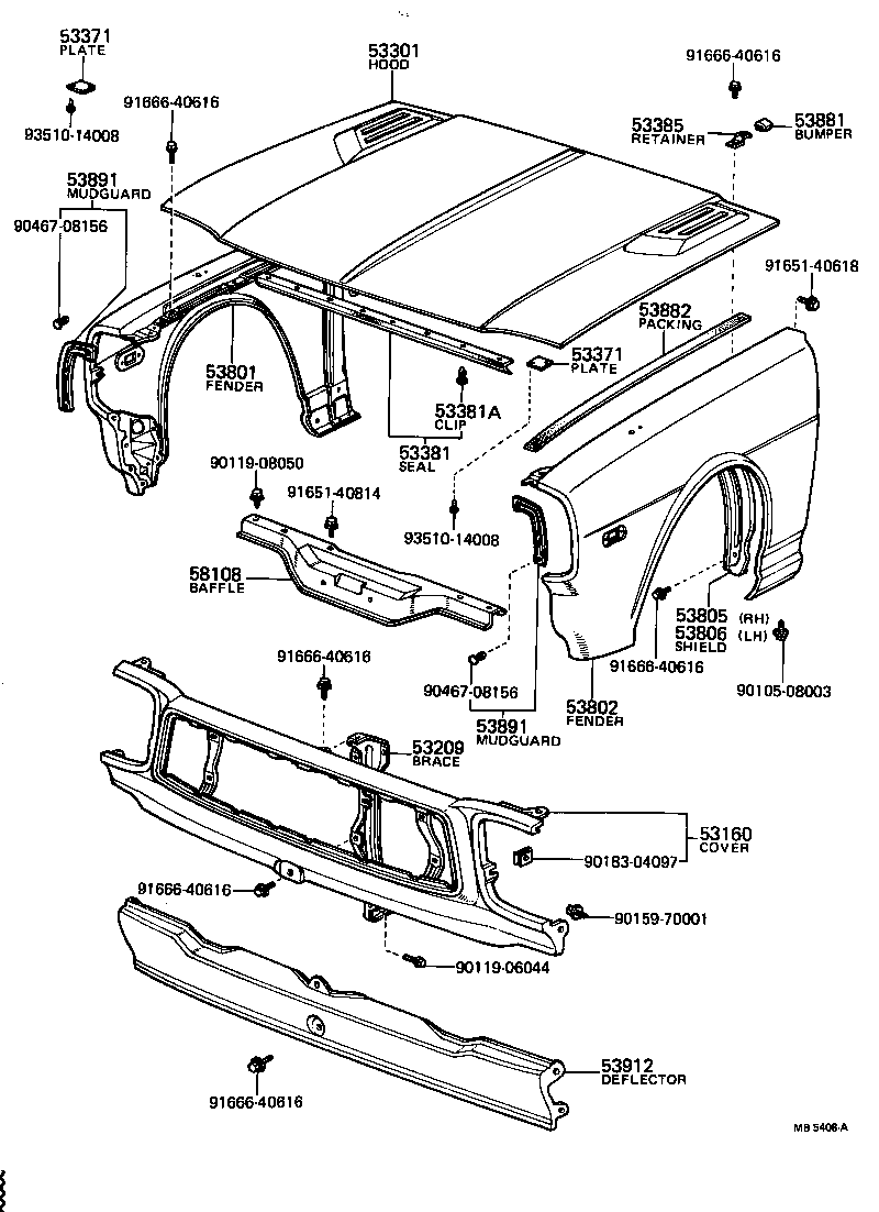 Hood & Front Fender