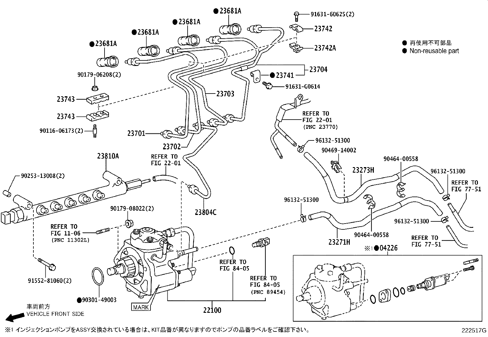 Injection Pump Assembly