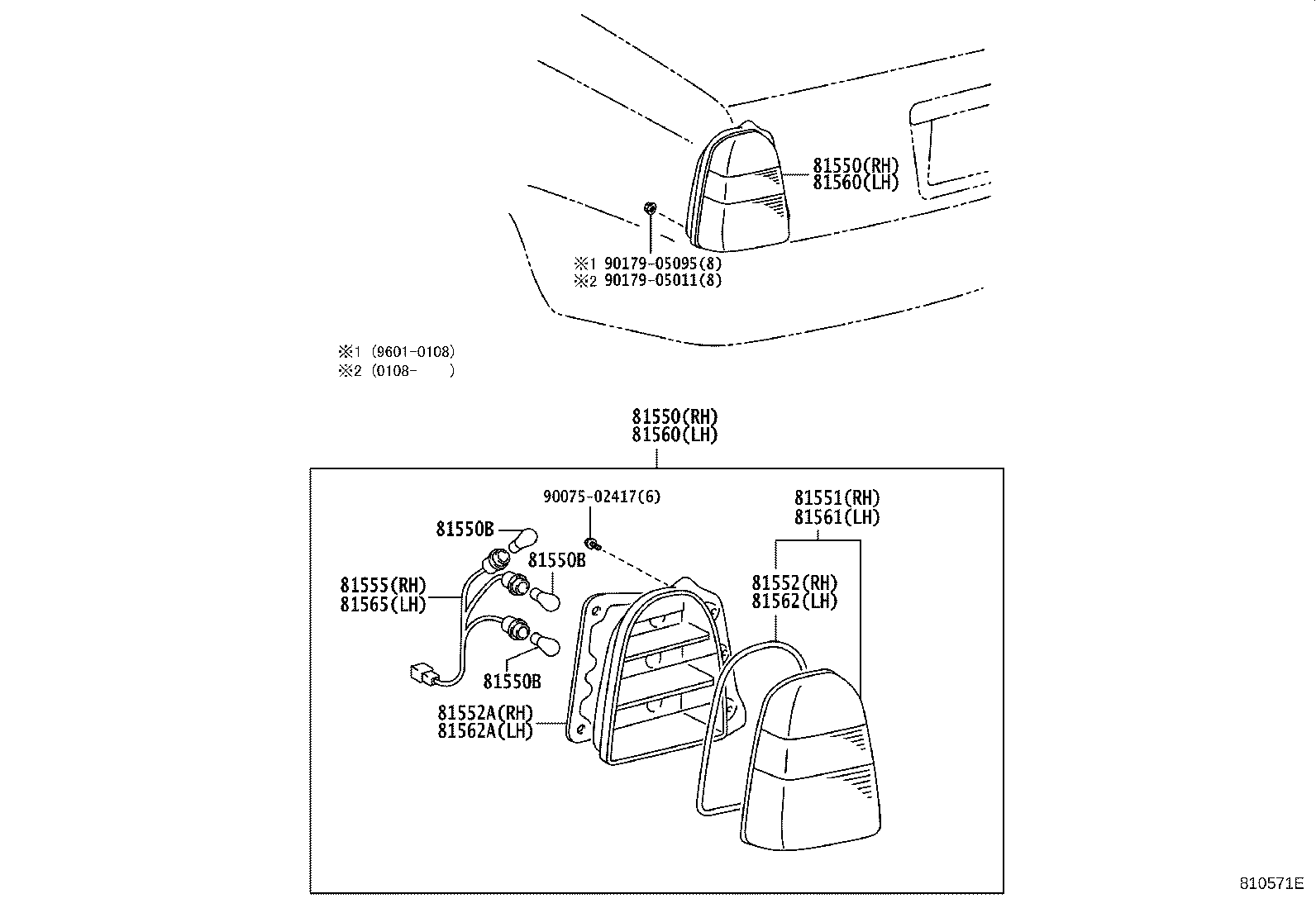 Rear Combination Lamp