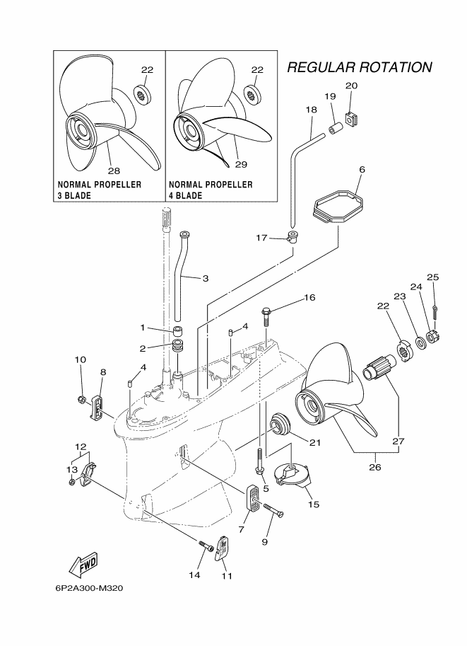Lower Casing & Drive