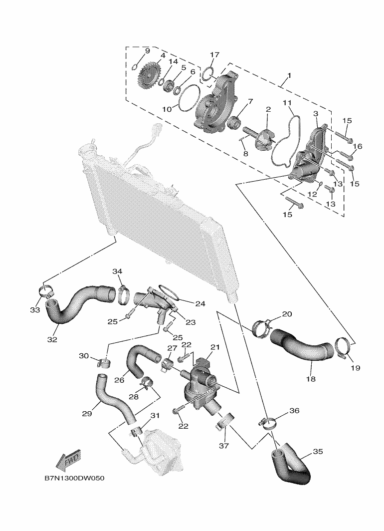 Water Pump