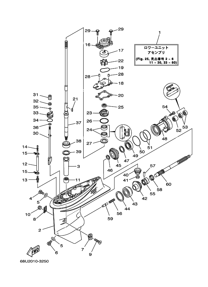 Lower Casing & Drive