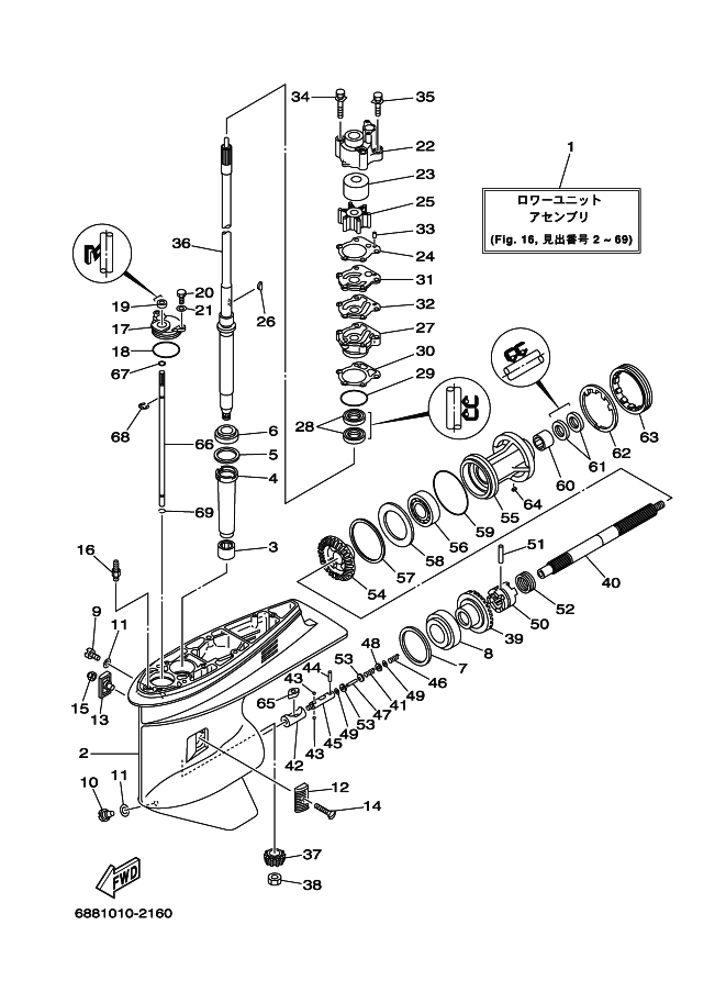 Lower Casing & Drive