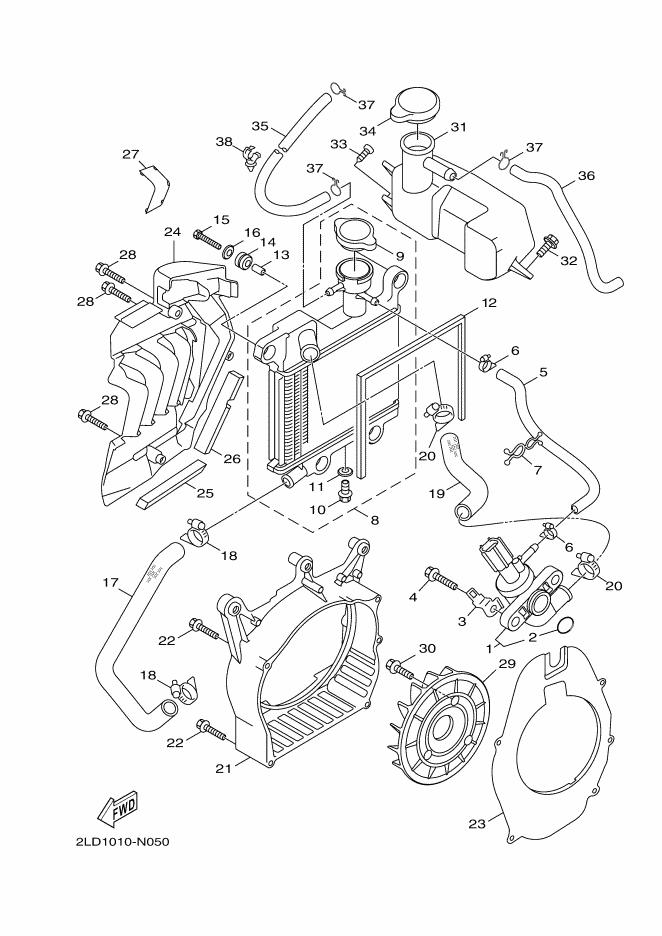 Radiator & Hose