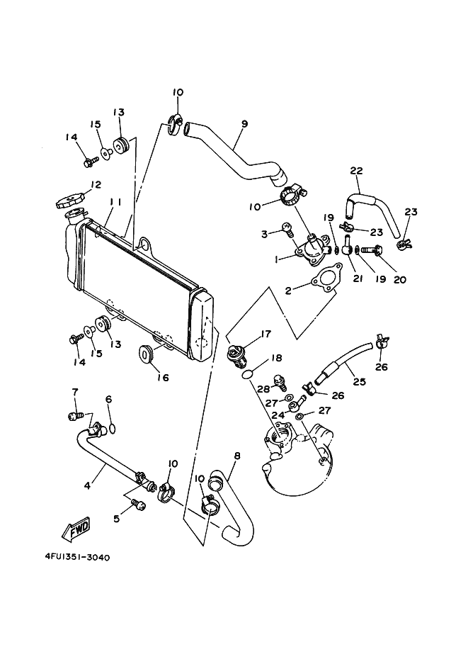 Radiator Hose