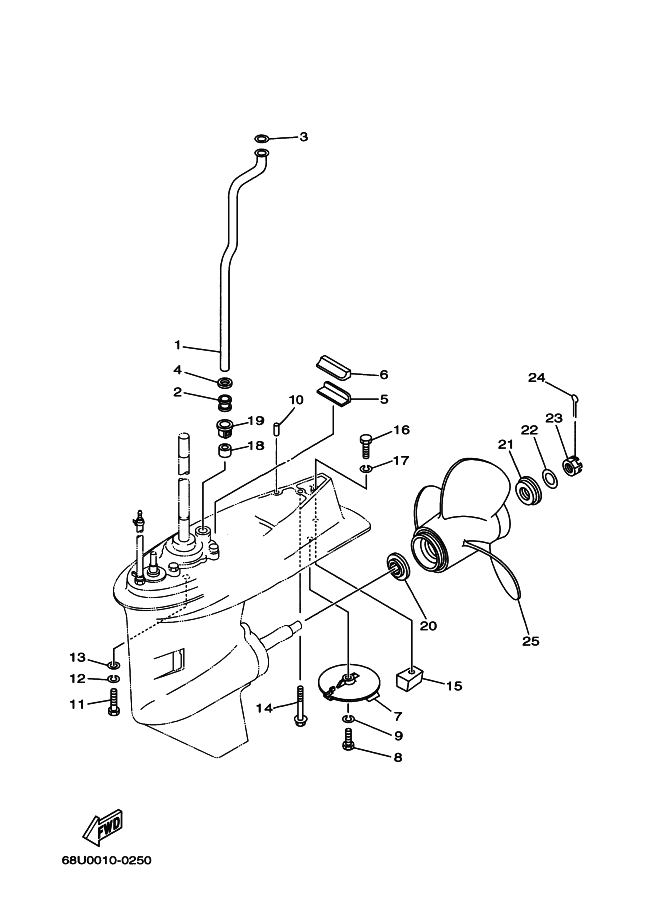 Lower Casing & Drive